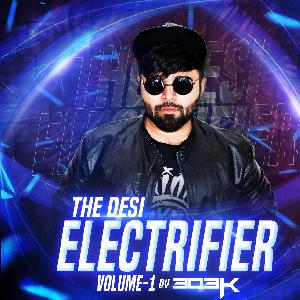 THE DESI ELECTRIFIER VOL 1 - DJ 303K